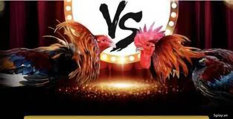 Cách Chơi Đá Gà GA28 Tại U888 Đỉnh Cao Giải Trí Cá Cược 2 Cách Chơi Đá Gà GA28 Tại U888 Đỉnh Cao Giải Trí Cá Cược