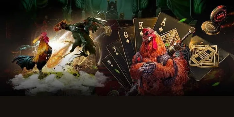 Cách Chơi Đá Gà 3D Tại U888 Kịch Tính Thật Đến Từng Giây 2 Cách Chơi Đá Gà 3D Tại U888 Kịch Tính Thật Đến Từng Giây