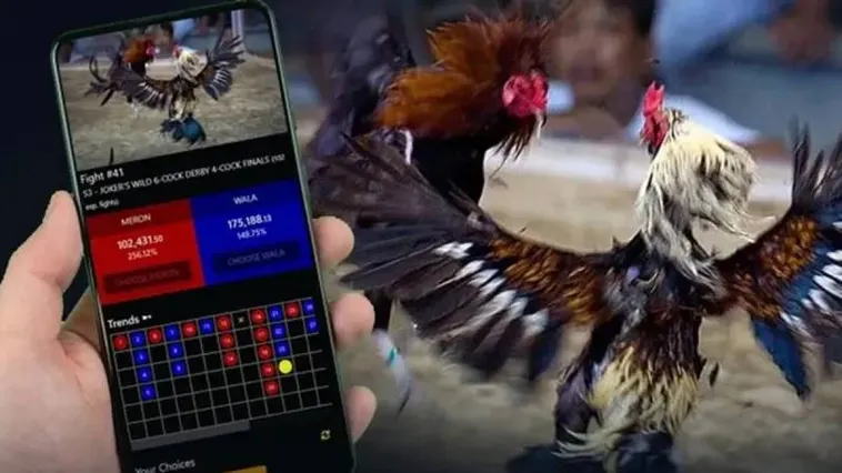 Đá Gà U888 Trải Nghiệm Cá Cược Hấp Dẫn Kịch Tính