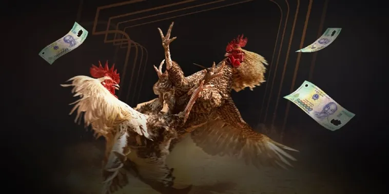 Cách Chơi Đá Gà Sabong Tại U888 Hấp Dẫn Đầy Kịch Tính 2 Cách Chơi Đá Gà Sabong Tại U888 Hấp Dẫn Đầy Kịch Tính